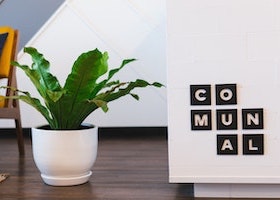 cowork